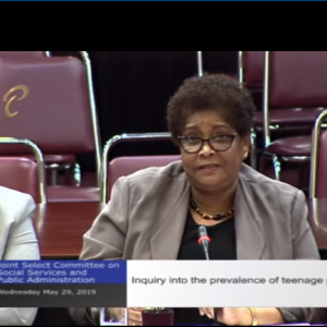 27th Public Metting – JSC Social Services & Public Administration – May 29, 2019