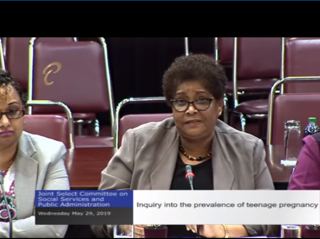 27th Public Metting – JSC Social Services & Public Administration – May 29, 2019